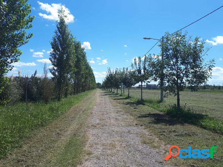 Venta de Excelente Barrio Cerrado LAS CASUARINAS. Ibarlucea.