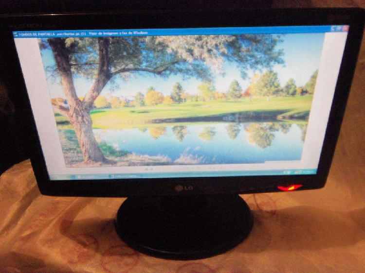 Monitor de PC, LG, LCD 19