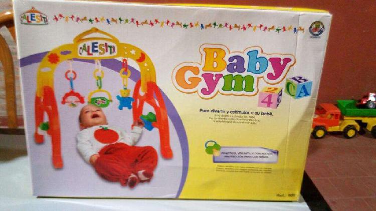 Gimnasio Calesita Baby Gym