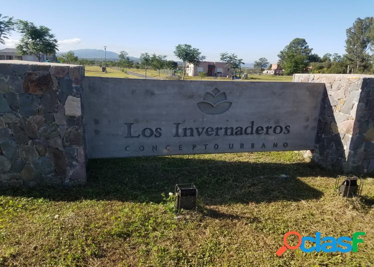 VENDO TERRENO " LOS INVERNADEROS " SAN LORENZO