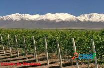 Parcelas en montañas ideal plantar Nogales 75 hta.