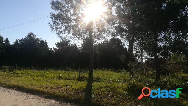 VENTA LOTE EN LOS PINARES MAR DEL PLATA