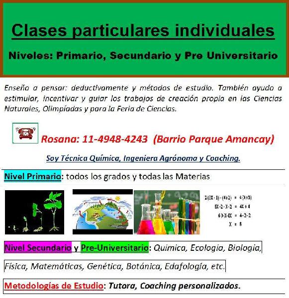 Clases particulares en Pilar:clases