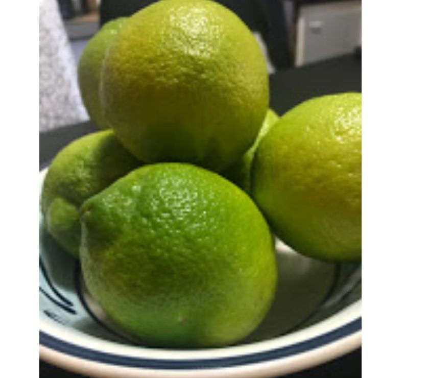 Vendo limones orgánicos