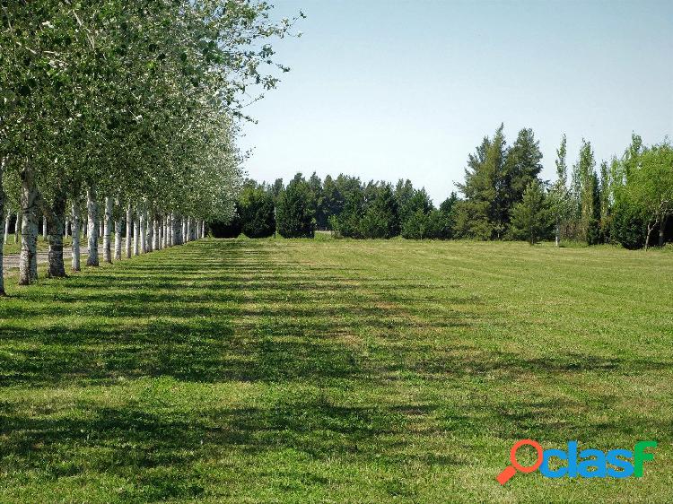 OPORTUNIDAD - Lote en Pinares del sur - AO12 y ruta 18