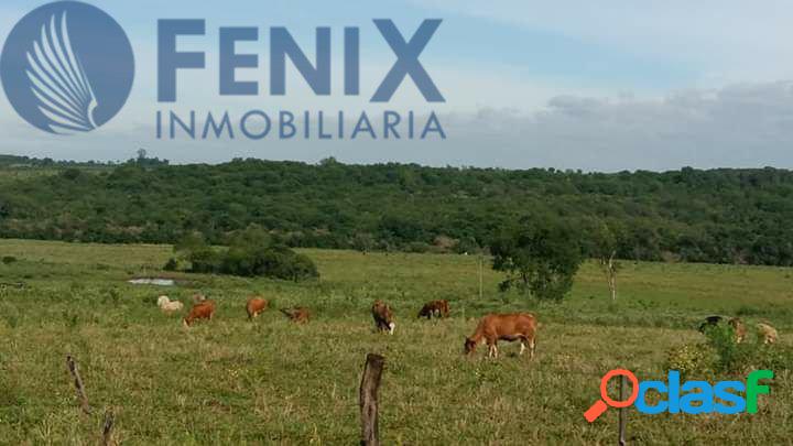 REF TF294 34 HECTÁREAS EN CORRIENTES - CAMPO IDEAL PARA