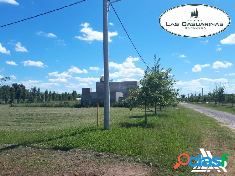 EXCELENTE PRECIO. LOTE EN LAS CASUARINAS. BARRIO CERRADO