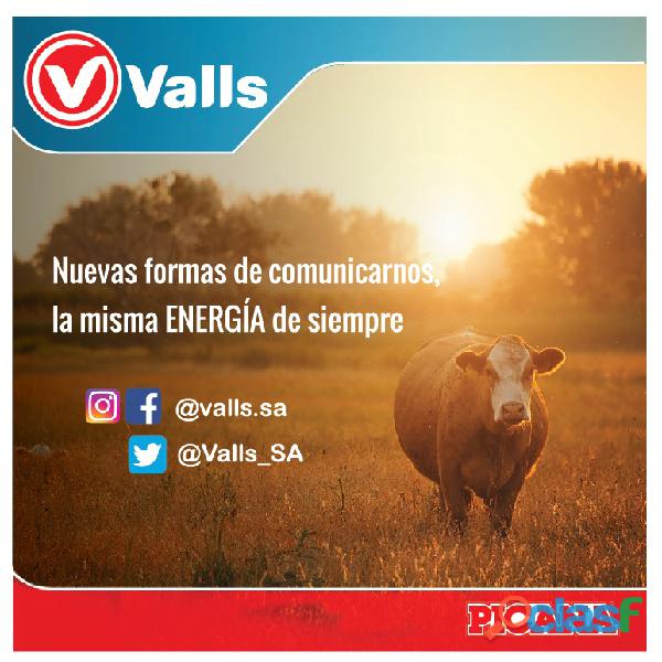 Valls S.A. https://www.valls sa.com/