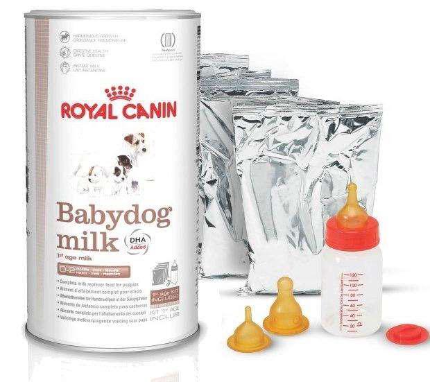 Royal Canin Babydog Milk todas las razas