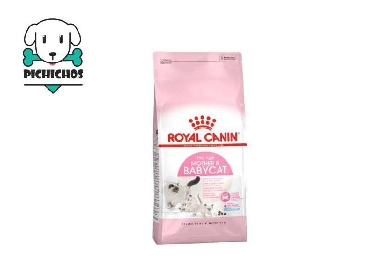 Royal Canin Feline Health BabyCat 2 Kg / Regalo y Envío
