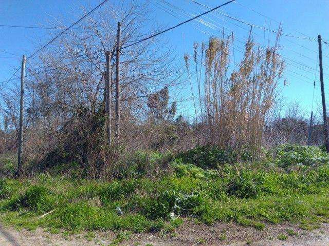 Lote en Venta en Gallo blanco, Chascomus US 35000