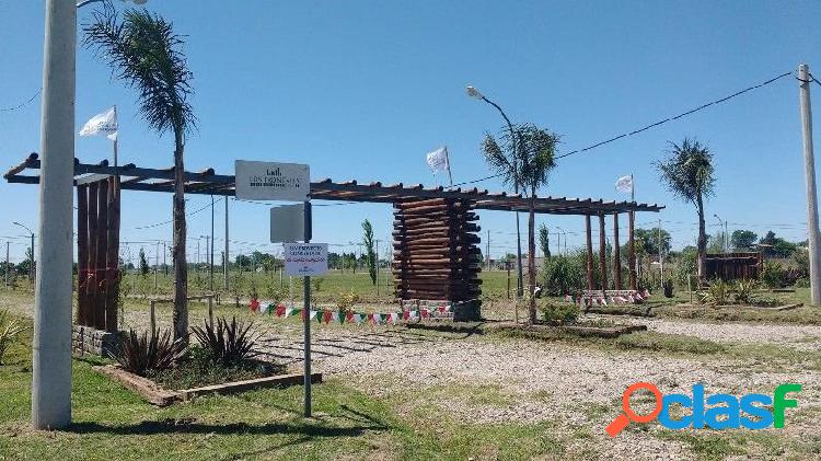 BARRIO ABIERTO EN ALVEAR - LOS TRONCALES DEL SUR - POSESION