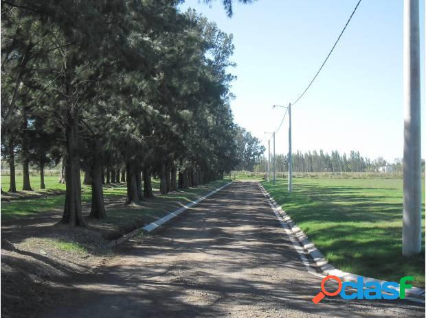 TERRENO EN ROLDAN - TODOS LOS SERVICIOS - BARRIO EL MOLINO