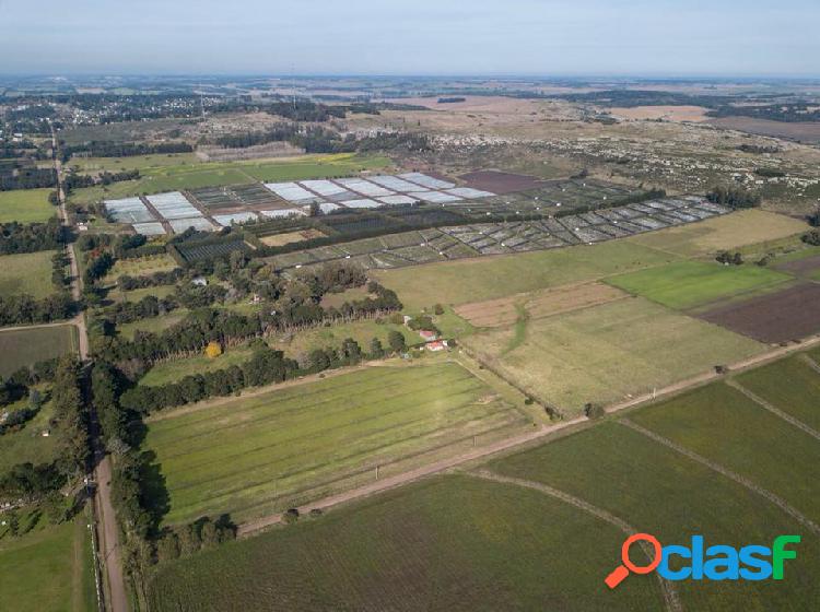 Venta Campo SIERRA DE LOS PADRES QUINTAS Mar del Plata