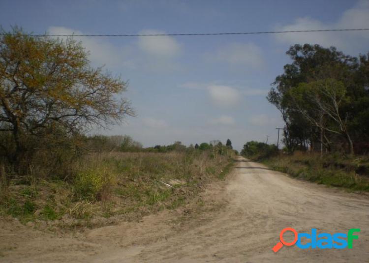 Fracción en esquina Lote alto Parejo.