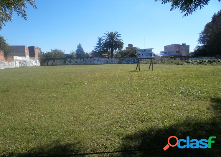 VENDO 4 LOTES DE 525 M2 CADA UNO O EN BLOCK SON 2100 M2 EN