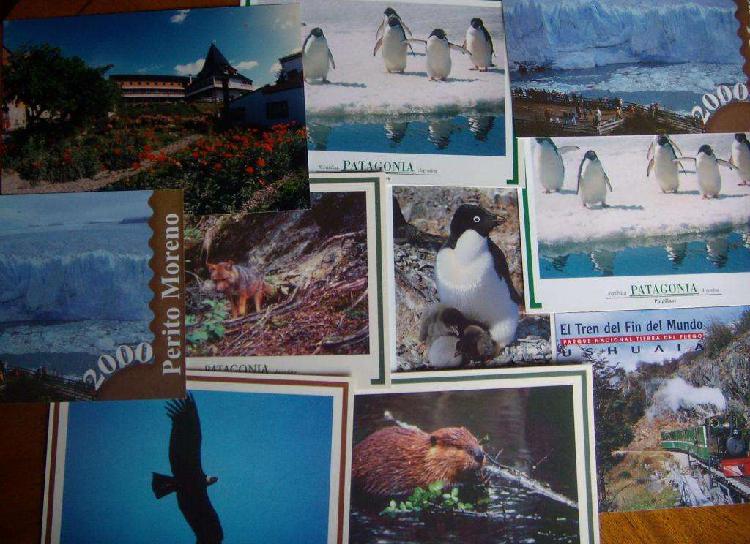 Postales Argentinas De Patagonia Y Salta Recientes En Lote
