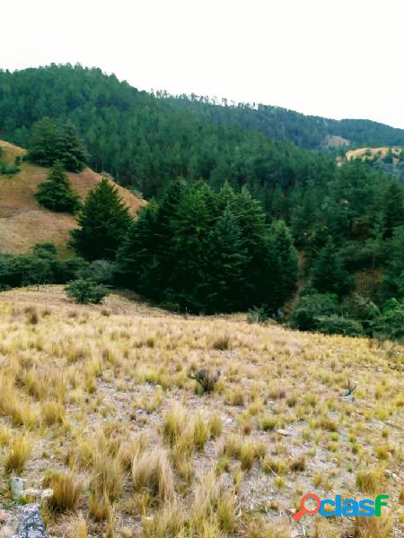 TERRENO SANTA ROSA DE CALAMUCHITA