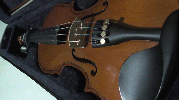 Violin cervini para niño de estudio