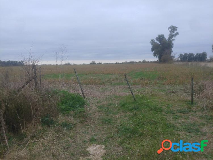 Campo Venta Carlos Keen