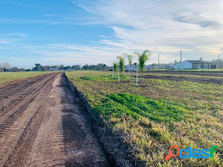 VENDO TERRENO EN RICARDONE - ESTANCIA LAS MORAS - LOTES DE