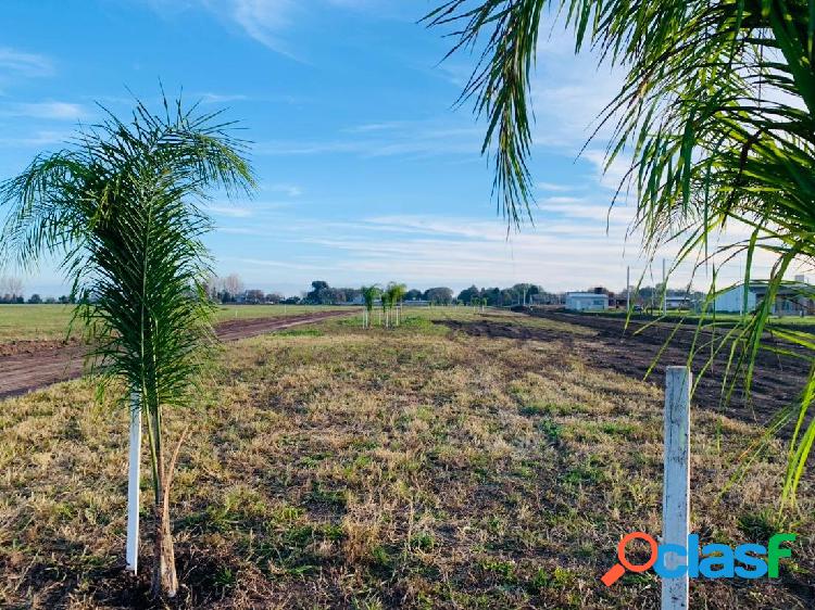 LOTES EN ESTANCIA LAS MORAS 2 - DESDE 300 M2 - FINANCIACION