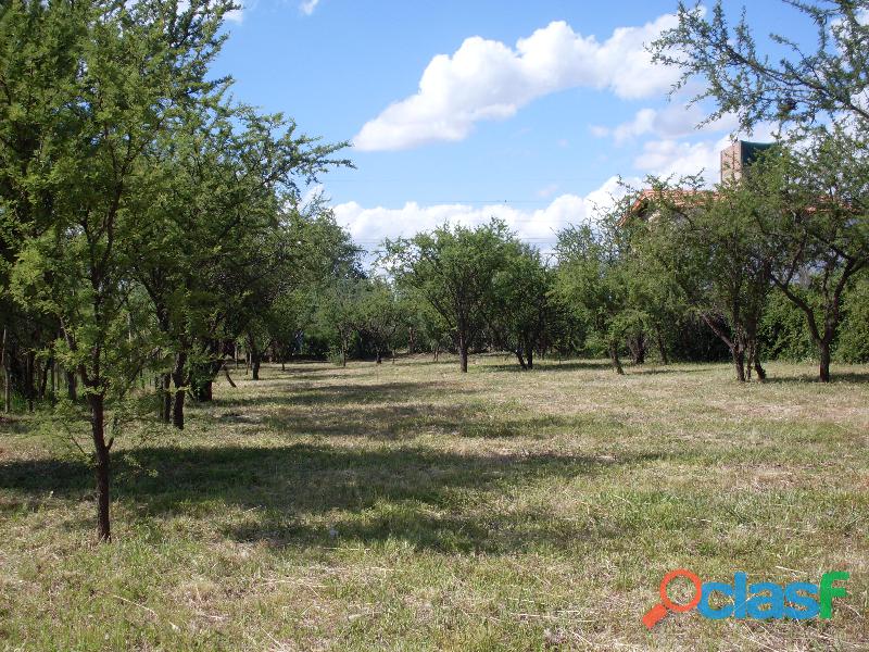 Merlo San Luis terreno en venta