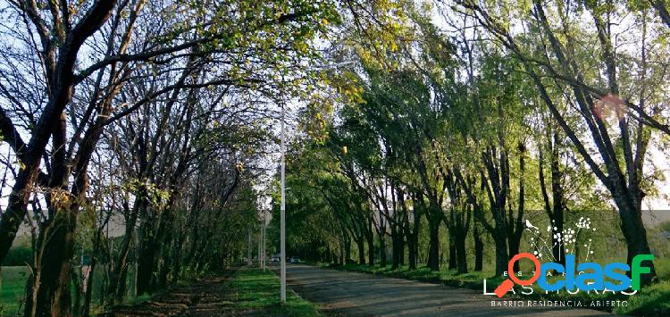 TERRENOS DESDE 300 M2 EN ESTANCIA LAS MORAS 2 RICARDONE