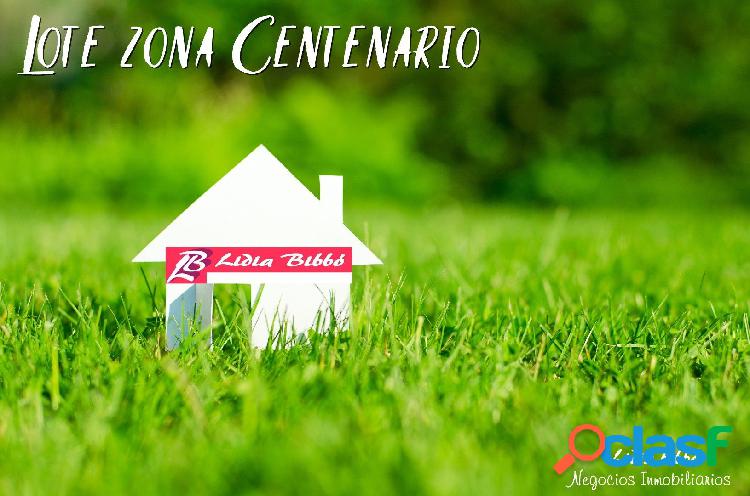 Lote zona Centenario