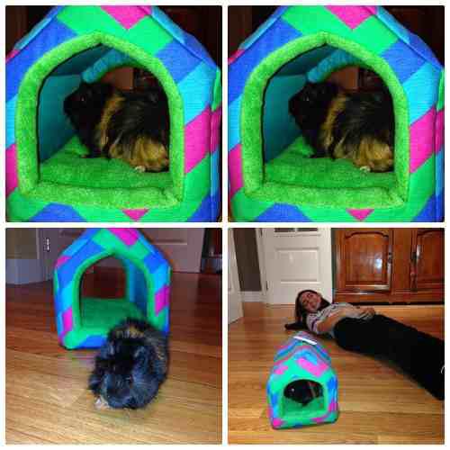 Casita Para Mascotas,diferentes Y Especiales.