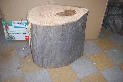 Tronco De Arbol Grueso Paraiso Ideal Asiento O Artesania