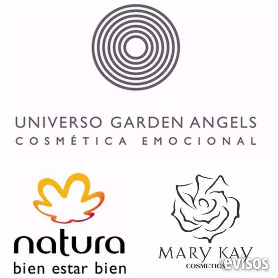 Productos mary kay y universo garden angels en Palermo