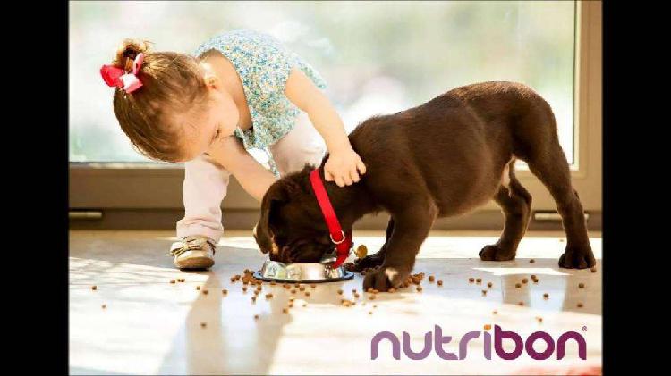 Alimentos para Mascotas Nutribon