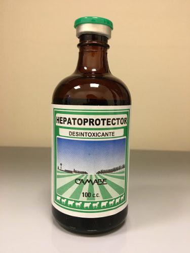 Hepatoprotector Camabe X 100 Cc.