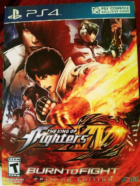 The King Of Fighters Xv Premium Edition