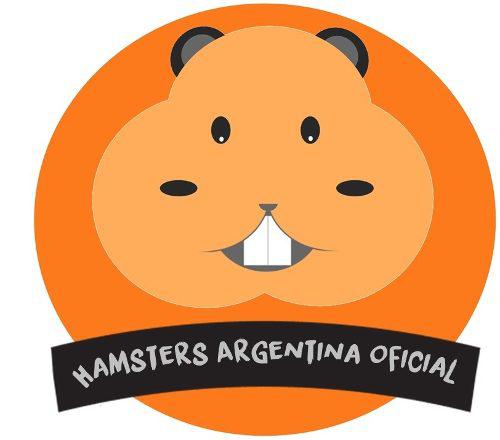 Hamsters Sirios Adopcion - Donar Para Hamsters Argentina