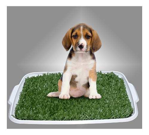 Alfombra Sanitaria De Pasto Para Perros Y Gatos **oferta**