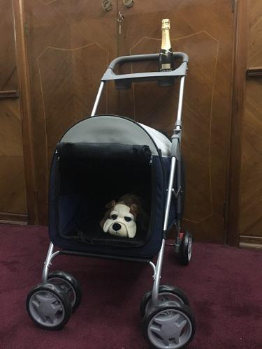 Carrito Para Transporte Perro Plegable Desarmable