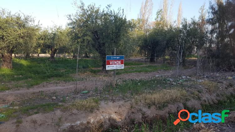 Terreno en venta