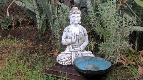 Jardin Zen Abundancia Con Tarima Y Cuenco