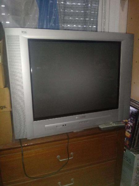 Tv Philips 21 Pulg. Real Flat