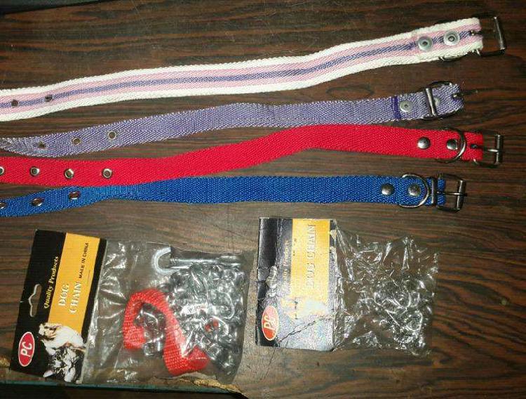 Collares Y Correas Para Perro Collar de polipropileno