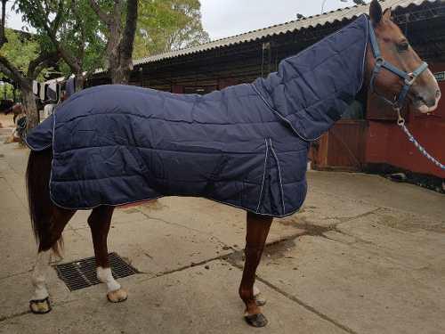 Jacaranda Manta Para Caballos Para Box Combo Invierno