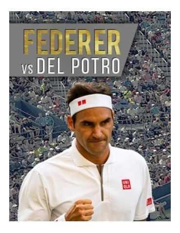 Entrada Federer - Del Potro / Excelente Ubicación /