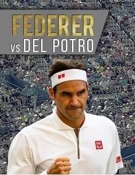 Entrada Federer Vs Del Potro - 20/11 Parque Roca