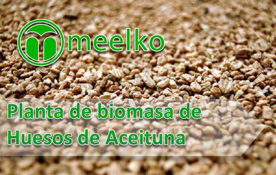 Meelko planta de biomasa de huesos de aceituna en Ancasti