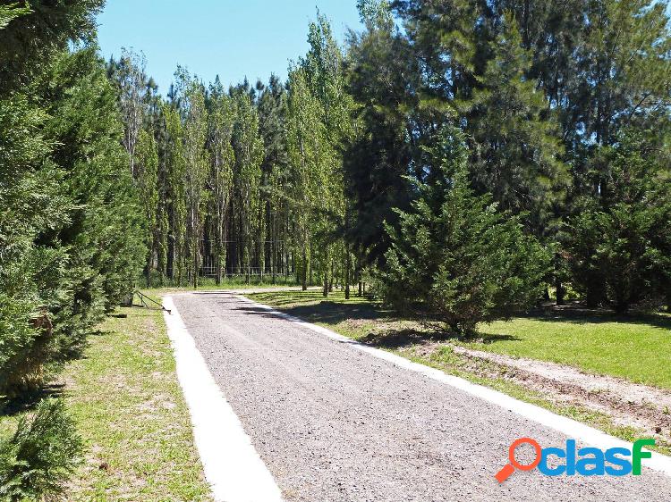 TERRENO EN BARRIO SEGURO CERCA DE ROSARIO - PINARES DEL SUR