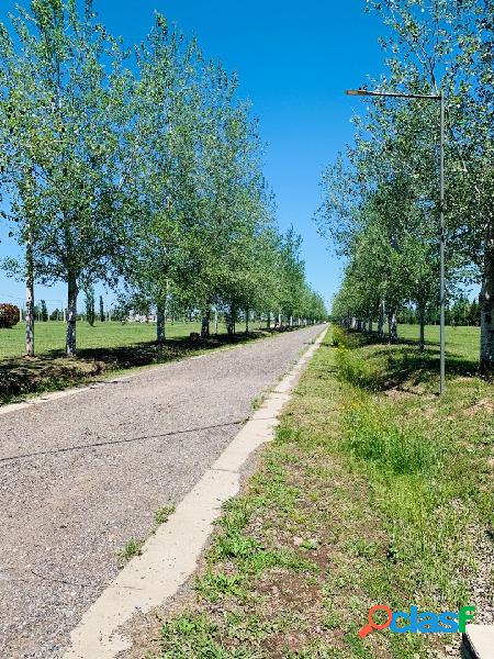 VENTA LOTE TERRENO PINARES DEL SUR PIÑERO DESDE 350m2 a