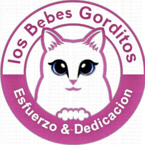 Donación $100 Los Bebés Gorditos