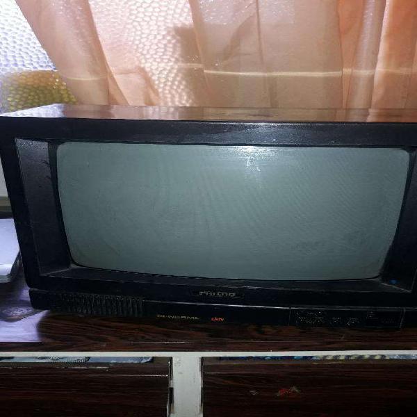 Televisor 14 Pulgadas